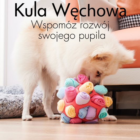Kula węchowa z języczkami